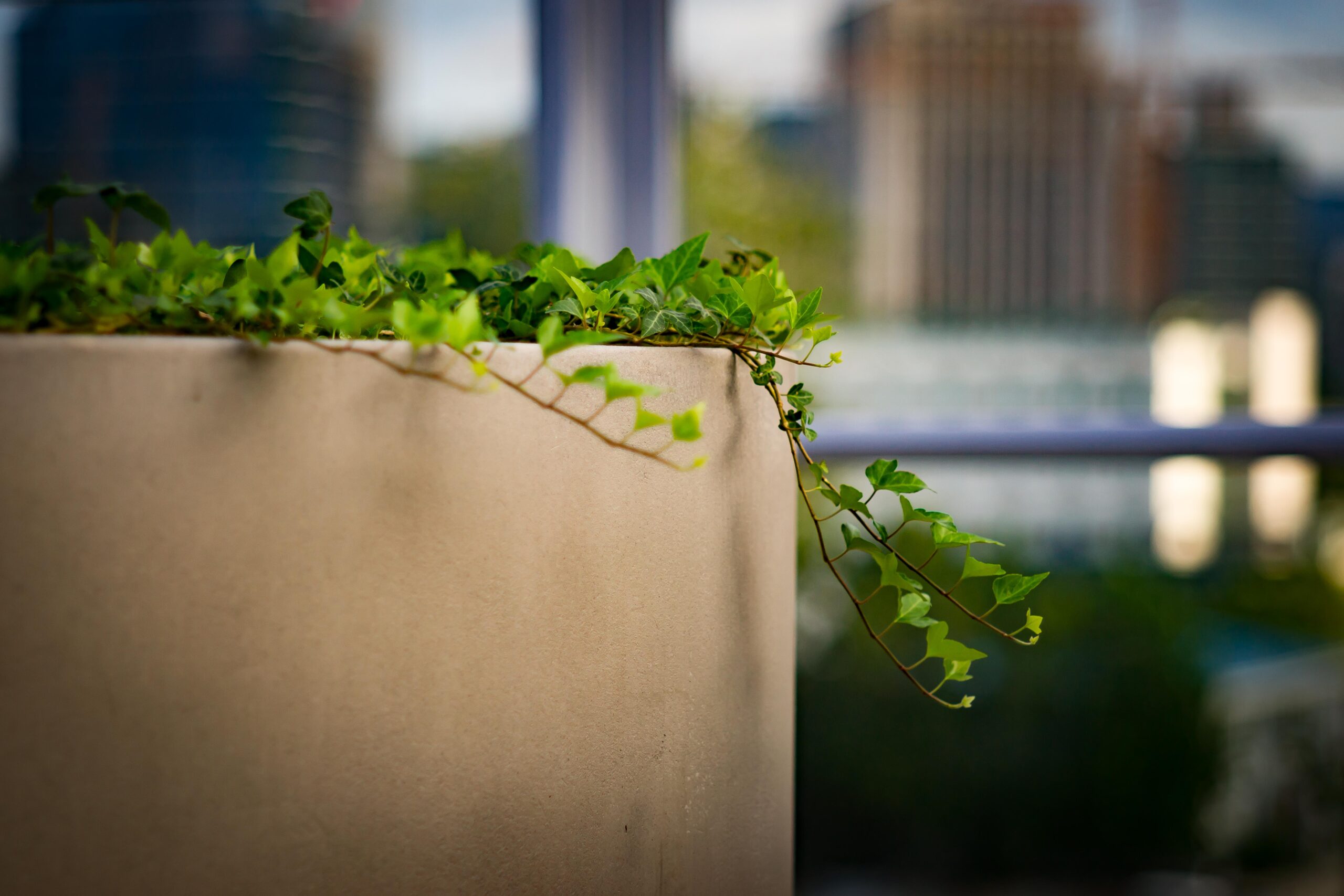 EPR Packaging in clear business terms photo 2