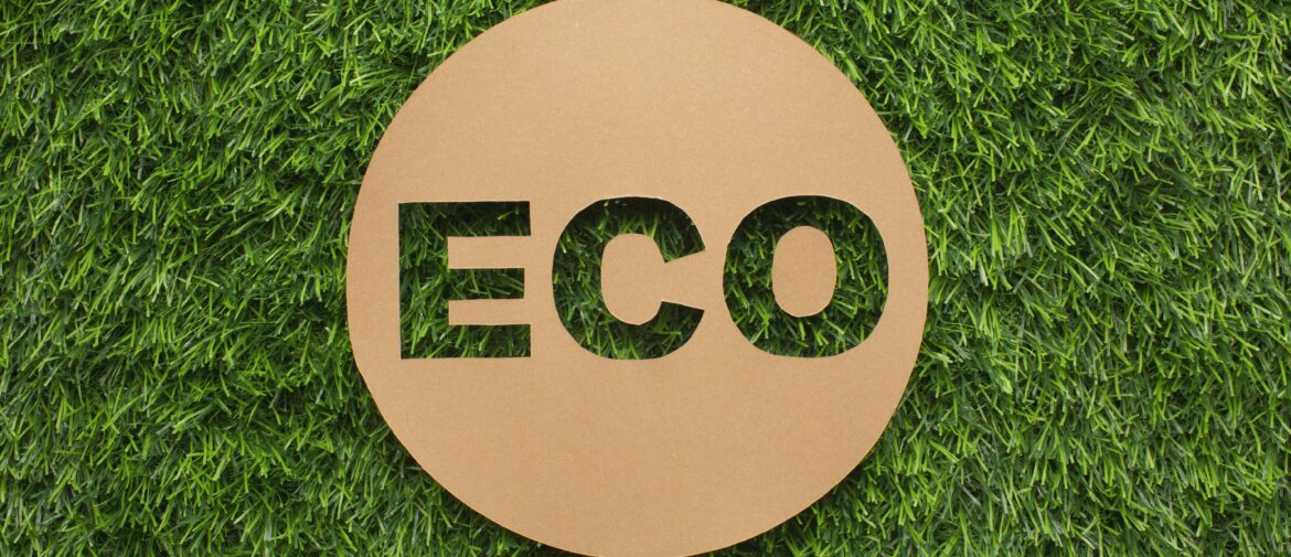 Expert EPR Authorised Representative Services for Your Business