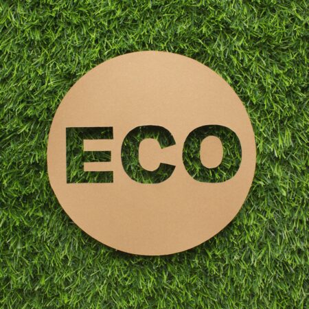 Expert EPR Authorised Representative Services for Your Business