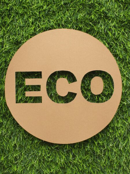 Expert EPR Authorised Representative Services for Your Business