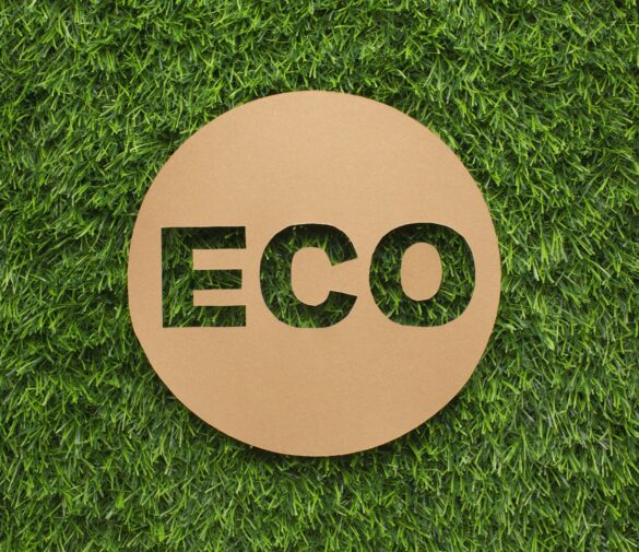 Expert EPR Authorised Representative Services for Your Business