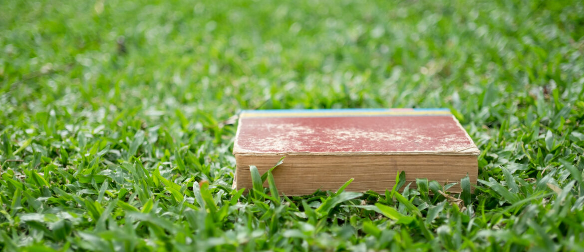 EPR Packaging in clear business terms