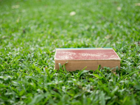 EPR Packaging in clear business terms