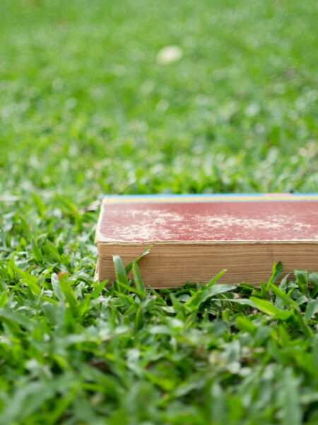 EPR Packaging in clear business terms