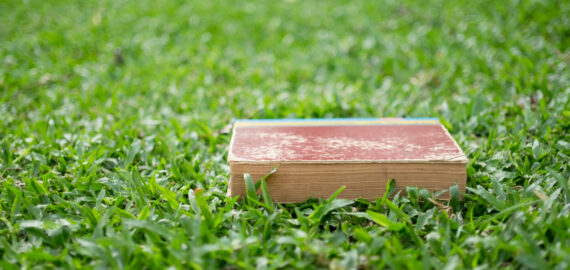 EPR Packaging in clear business terms