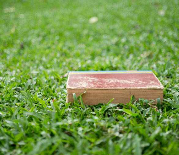 EPR Packaging in clear business terms