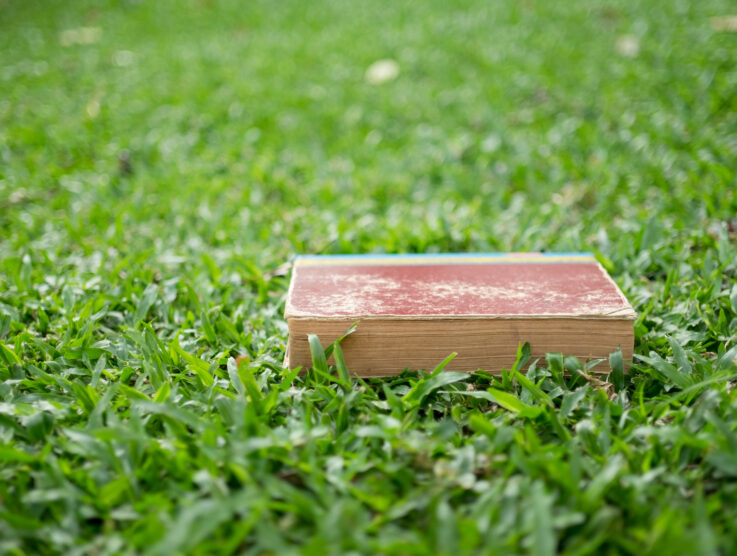 EPR Packaging in clear business terms